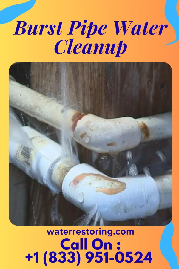 Burst Pipe Water Cleanup in Forest City, PA