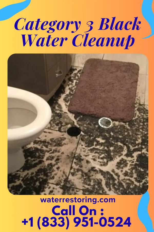 Category 3 Black Water Cleanup in Forest City, PA