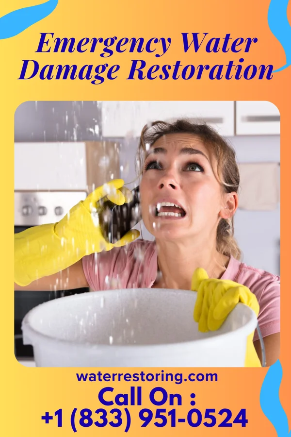 Emergency Water Damage Restoration in Forest City, PA