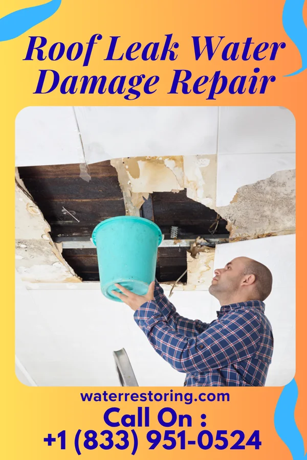 Roof Leak Water Damage Repair in Forest City, PA