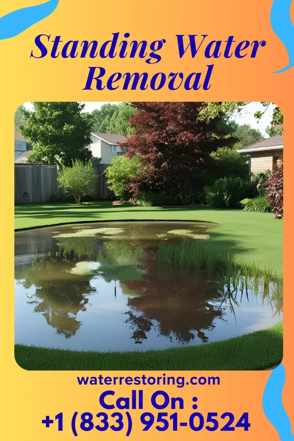 Standing Water Removal in Forest City, PA